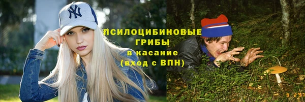 spice Баксан