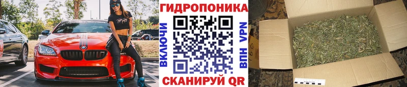 Бошки марихуана LSD WEED  OMG зеркало  даркнет клад  Фурманов 